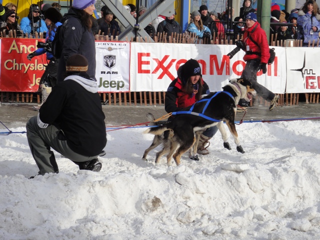 Iditarod%202.JPG