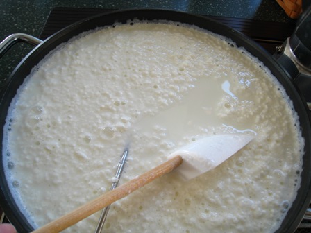 Ricotta%20-%20curds%20still%20forming.JPG