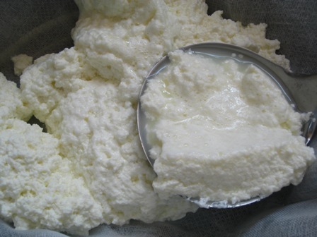 Ricotta%20-%20curds.JPG