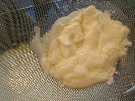 curds%20while%20straining%20second%20attempt.JPG