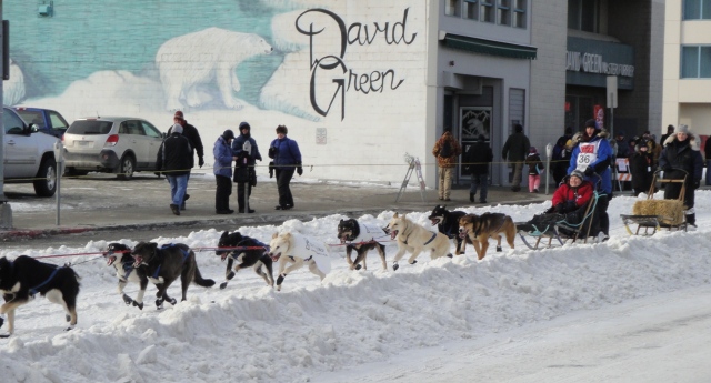 iditarod%201.JPG