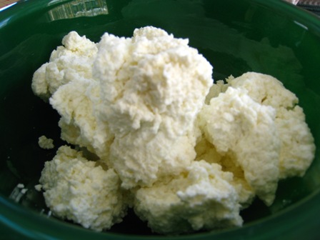 ricotta%20completed.JPG